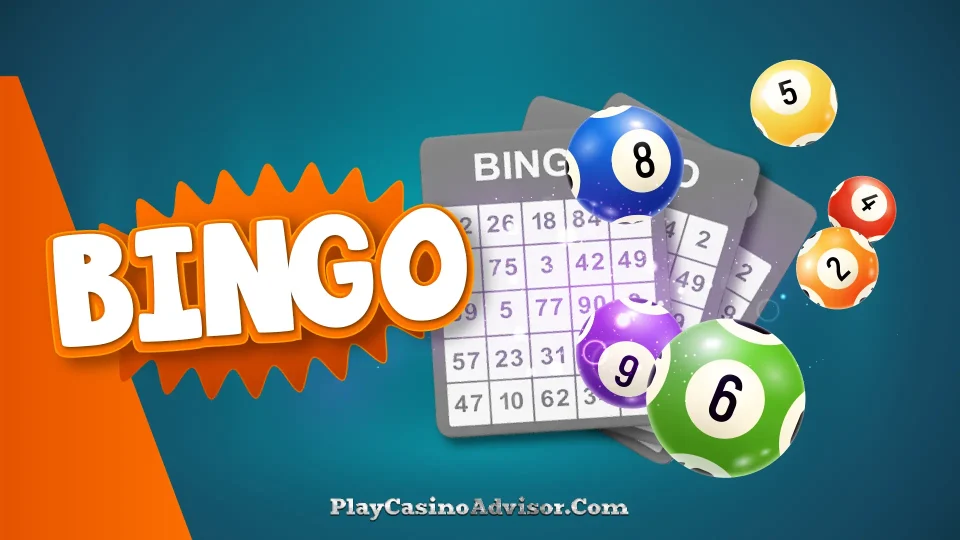 Explore the world of Bingo with this comprehensive beginner's guide.