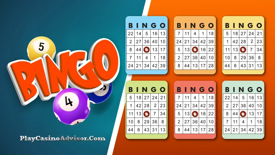 Get ready to dominate Bingo with our step-by-step guide!