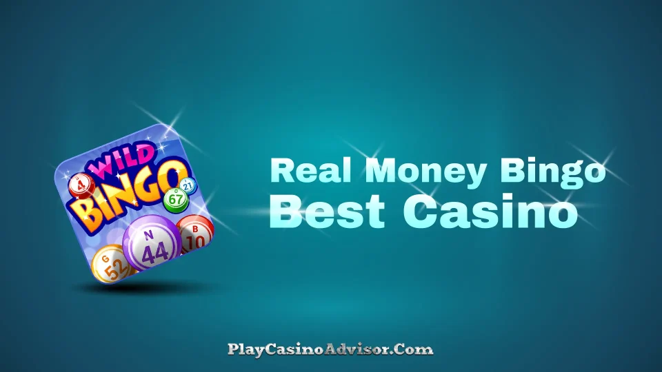 bingo-real-money-bingo-gambling-online