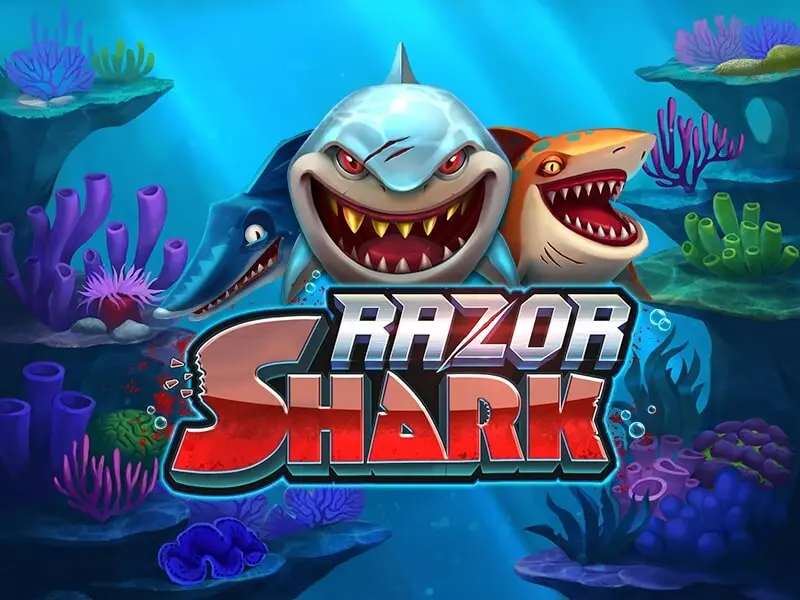 Discover the Razor Shark Slots for Exclusive Free Spins, No Deposit Bonuses, and Real Cash Wins.