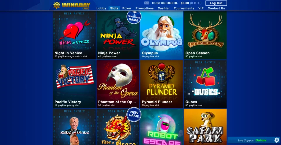 win a day available slot games
